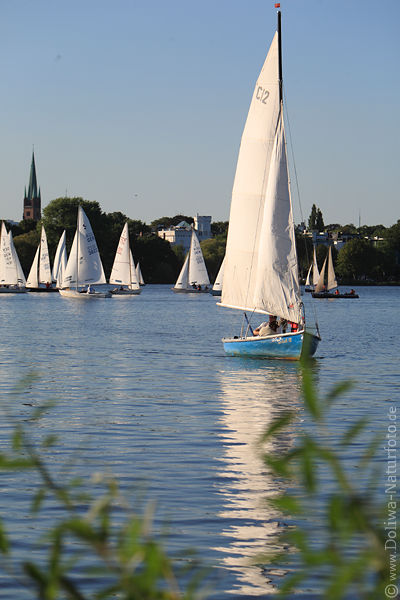 Alster-Segler Boote in Wasser auf See in Wind Sonne Landschaft