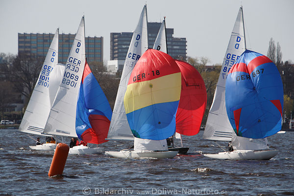Regatta bunte Segeln in Wind Alsterwasser