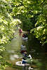 52774_Alster-Dschungel Kanuten 5 Boote Kanuwanderer Wasserausflug in Grünallee