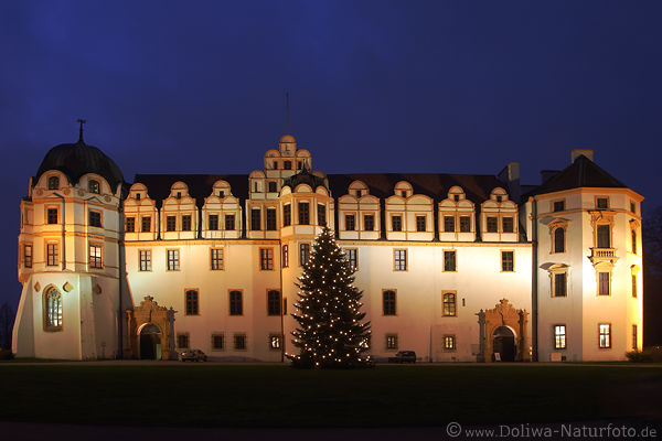 Palast Celle Nachtfoto mit Christbaum Lichter Romantik Advent Schloss Architektur Nachtbild