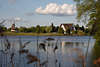 905143_ Gifhorn Seenlandschaft Foto am Mhlenpark Wasser durch Schilfgrser am Mhlensee Naturufer