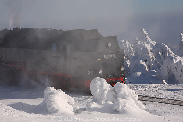 Harz Dampflok Winterfahrt durch Schneelandschaft Skulpturen
