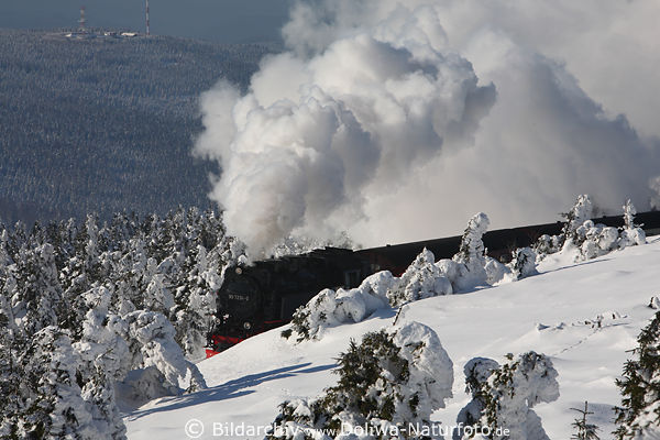 Brockenbahn Winterfoto Volldampf-Romantik in Schneelandschaft Harz weisse Natur in Bild