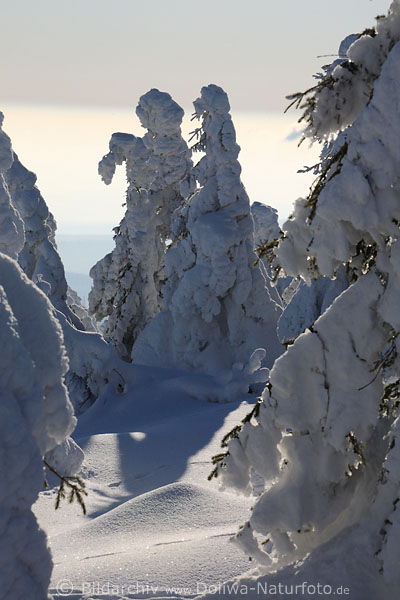 Harzer Schneedamen Paar im Gespr�ch Tannen Schneegestalten windgeformte Winterskulpture