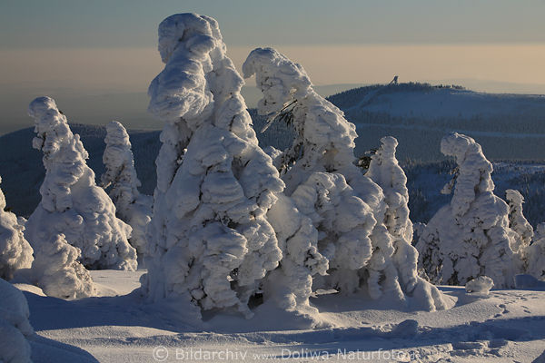 Baumhexen skurrile Schneegestalten Naturportrt Brockenlandschaft Harz Winterzauber