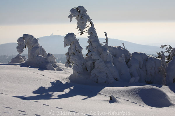 Hochharz Winterlandschaft weisse Schneegestalten am Brocken Naturfoto mit Wurmbergblick