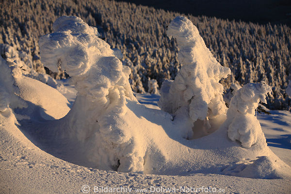 Brockenlandschaft windgeformte Schneegebilde Winterzauber Naturfoto