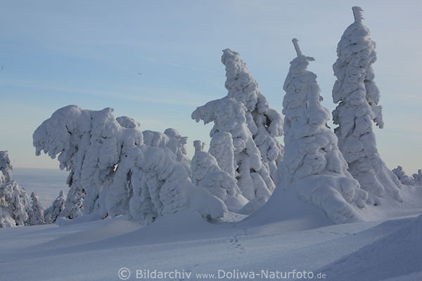Schnee Naturkunst am Brocken Winterbild Harz frostiger Winterzauber
