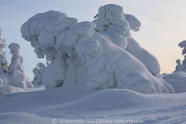 Naturkunst aus Schnee Harz interessante Winterattraktion am Brocken