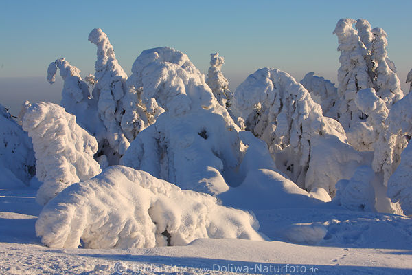 Brockentannen skurrile Harzer Wintergestalten aus Schnee 