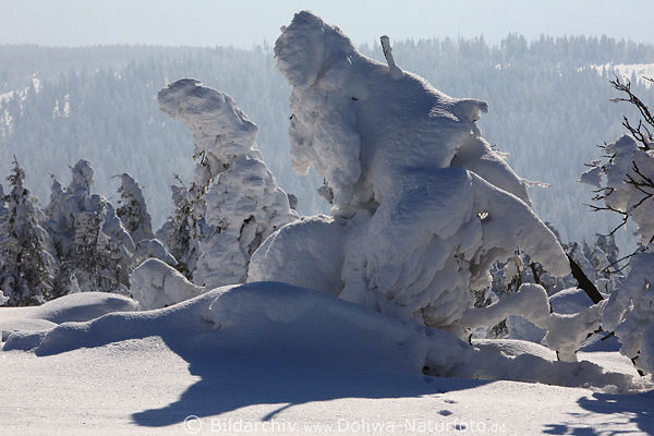 Schneekrieger skurrile Gestalt mit Schwert im Rcken windgeformte Natur Winterfoto