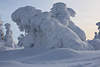 101312_Nature-art in snow, Harz-vacation interesting winter-attraction at Brocken-summit