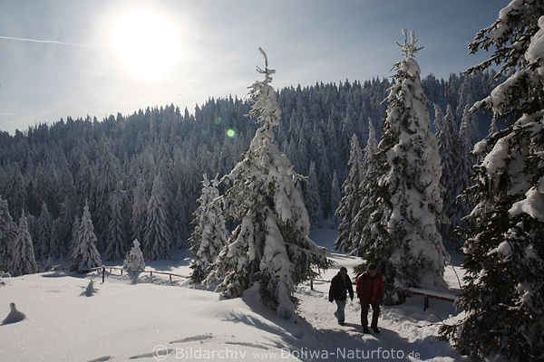 Winter Naturbild Harz-Schneeweg Wander-Paar latschen zum Brocken