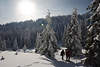 101235_Winter Naturbild Harz-Schneeweg Wander-Paar latschen zum Brocken