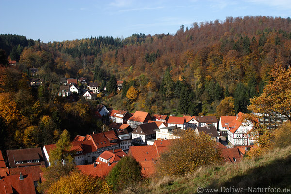 Harz Bad Grund romantische Bergstadt Dcher im Herbstwald Goldfarben Naturbild