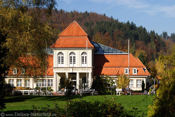 Bad Grund Stdtisches Kurbad in Harz Natur