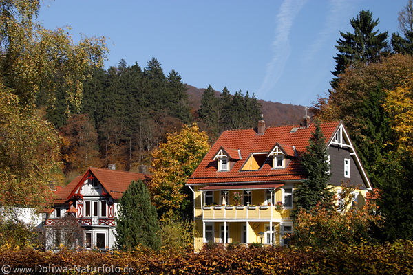 Bad Grund Pensionen Kurhuser Harz Kurbad Villen am Kurpark in Herbstwaldfarben