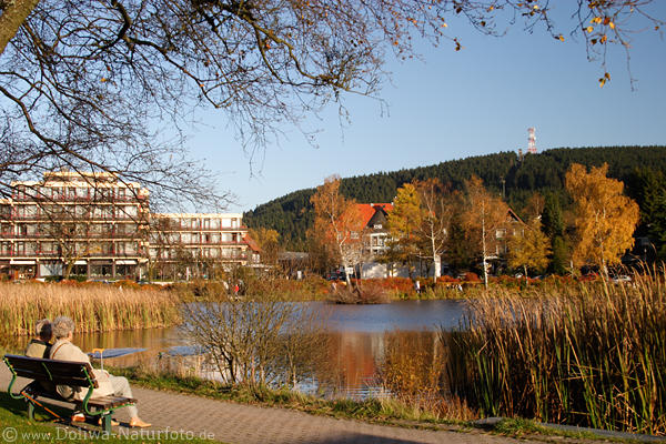 Seeidylle in Harz Kurort Goslar Hohnenklee Senioren Paar auf Bank Kranichsee