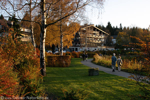 Goslar-Hohnenklee Senioren Paare spazieren am Kranichsee Promenade in Goldfarben