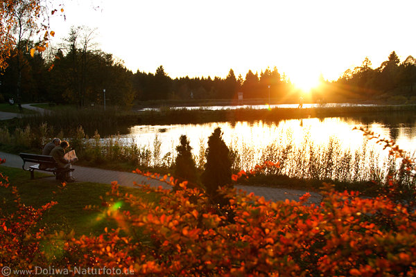 Sonnenuntergang ber Kranichsee Foto in Goslar-Hohnenklee mit Seniorenpaar auf Bank