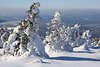 101844_Schneelandschaft Romantik Winterbild weibeklebten Kiefer mit Weitblick Gipfelaussicht auf Wlder