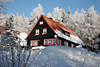 101081_Winteridylle in Bergdorf Schierke am Nationalpark Harz Häuser Winterbild im Sonnenschein am Brockenurwald