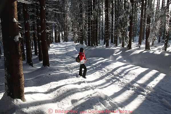 Winterwald Schneeweg Frau Wanderin Natur Waldweg Harz Fichten Tannen Allee