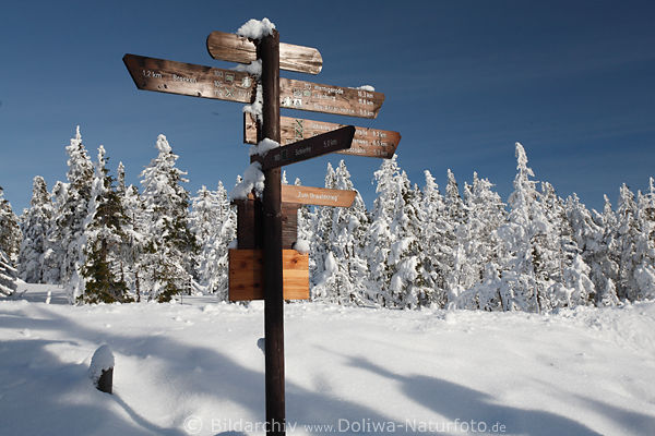 Wegweiser am Urwaldstieg durch Harz Natur im Nationalpark Schild in Schneelandschaft Winterbild