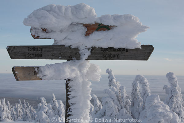 Harzer Wander-Wegweiser beklebt mit Schnee-Eis in Natur Winterbild Harzgebirge