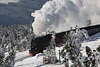 101879_Brockenbahn in Schneelandschaft Naturfoto Romantik Harz Dampfzugausflug Winterbild Harzreise