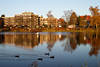 Harzer Kranichsee Foto Wasser Enten vor Ufer Promenade Kurhotels in Goslar Hohnenklee
