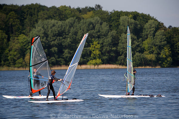 Surfschler Eutiner See Surfunterricht Windsurfing Jugend