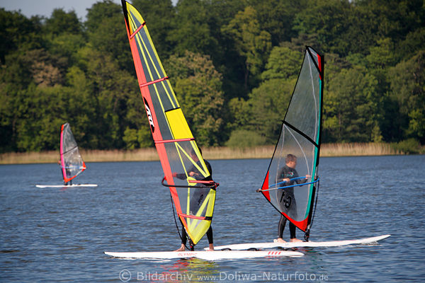 Windsurfer bunte Segeln in Wind Eutiner See Surfschler