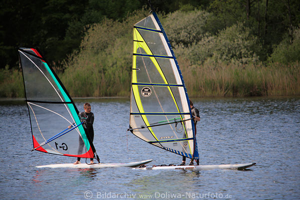 Windsurfing Eutiner See Surfschule Surfschler Unterricht durch Surflehrer