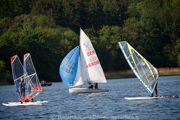 Eutiner See Surf-Segelschule Wassersport Windsurfing Jugend segeln in Wind