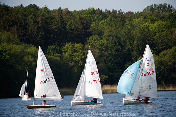 Eutiner Segelschule See-Regatta junger Segler Sportboote