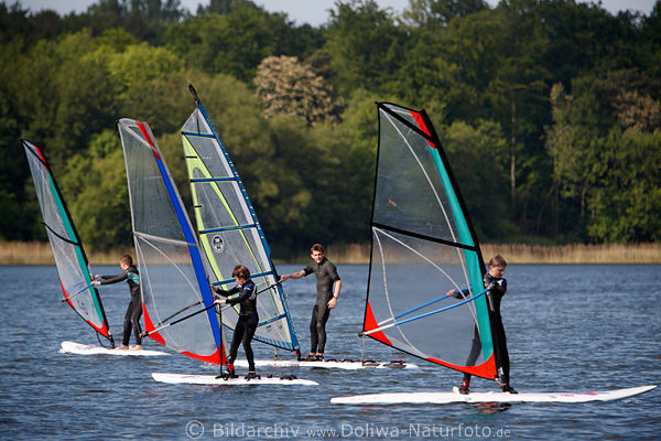 Eutiner See Wassersport Surfschule Windsurfing Lehrer mit Surfjugend