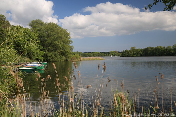 Eutinersee Wasserlandschaft Naturfoto Grnufer-Schilf Boote Wolkenstimmung