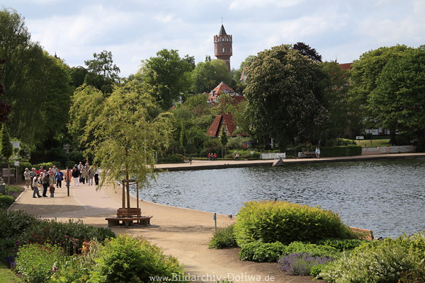 Eutiner Seepromenade Wasserufer Passanten Naturidylle Holsteinische Seenplatte