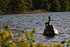 Malenter Seejungfrau Nymphe Skulptur im Dieksee auf Stein im Wasser - Malente Wahrzeichen