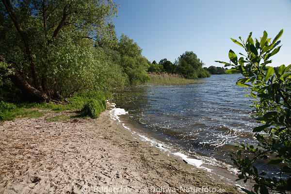 Preetz Sandbucht Postsee Wasserufer Naturbild
