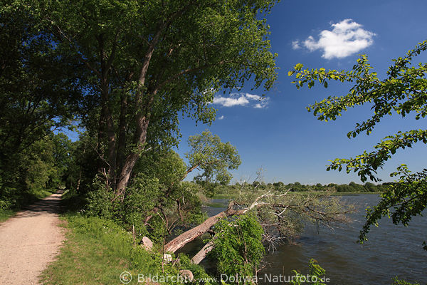 Postsee Uferweg Baumallee am Wasser Landschaftsbild