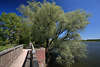 1100632_ Grünbäume entlang Postseewasser am Radwanderweg Landschaftsfoto an Sieversdorfer Brücke