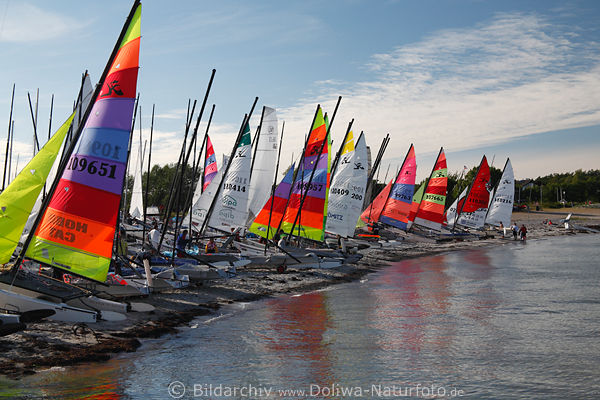Sail color Catamaran image Sailors Moth on the beach