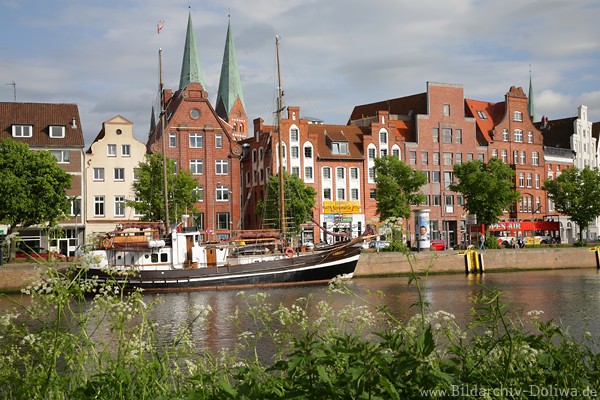 Altstadt Lübeck am Wasser Untertrave Uferpflanzen Naturfoto mit Segelschiff vor Häusern