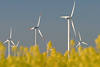 701179_ Windpark Mühle mit Flügel in Dithmarschen Landschaft Bild, Marschland Windmühlen über Raps Felder