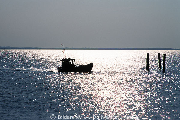 Kutter Fischboot Ostseefahrt Meerblick