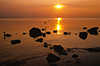 3614_Sonnenuntergang Stimmung an Ostseeküste Tiere Schwäne Vögel Steine im Meer Segelboot