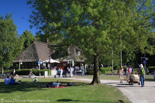 Ratzeburg Strandwiese um Eispavillon Frhlingsbild Caf Besucher