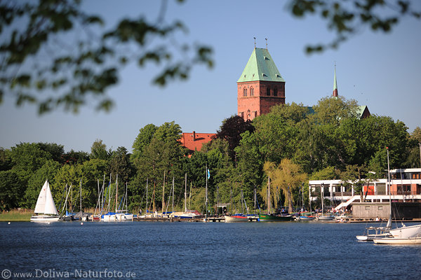 Ratzeburger See Frhlingsbild Wasser Segelboote Hafen grne Ufer